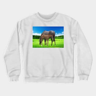 Mare & Foal Crewneck Sweatshirt